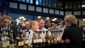 whiskyexpo_37